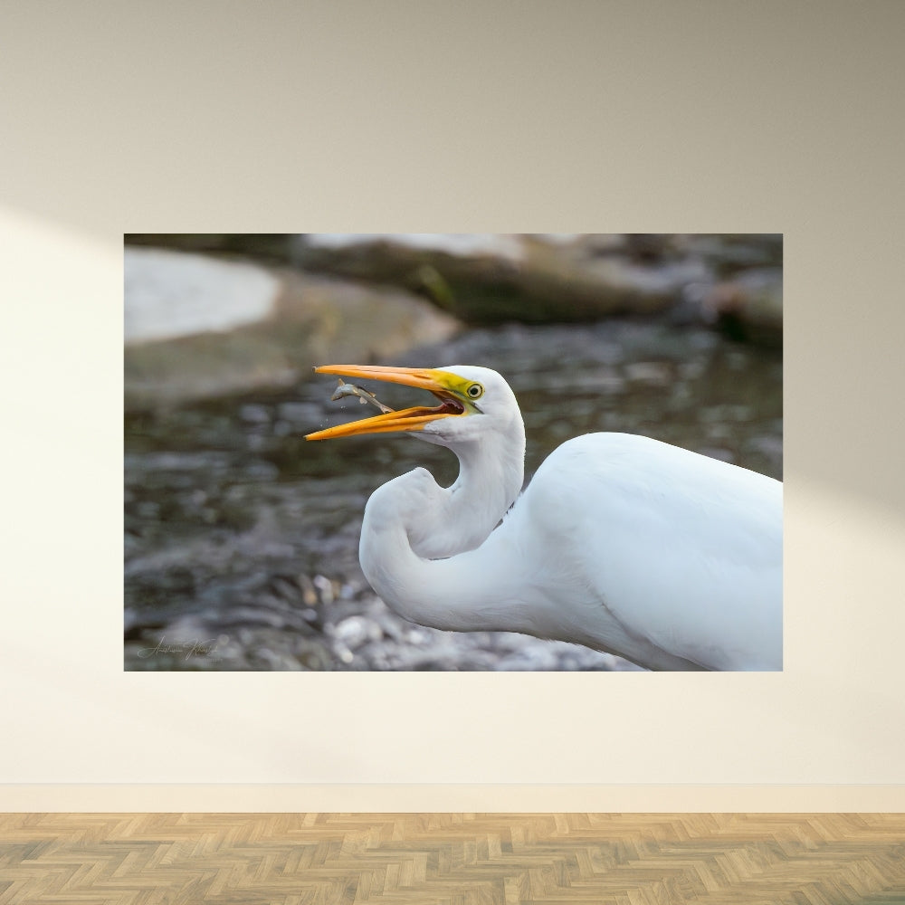 Epic Catch – Fine Art Print