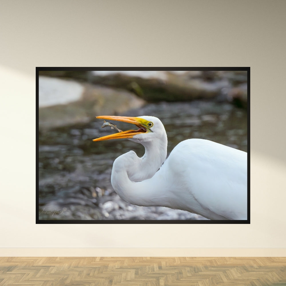 Epic Catch – Fine Art Print